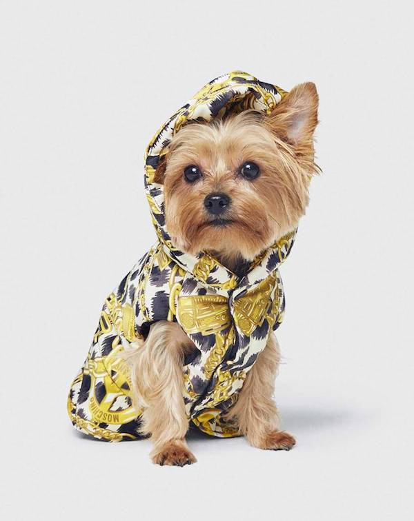Moschino X H&M