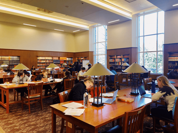 Students study in Fondren Library in preparation for finals. Photo credit: Mary-Bennett Sigal