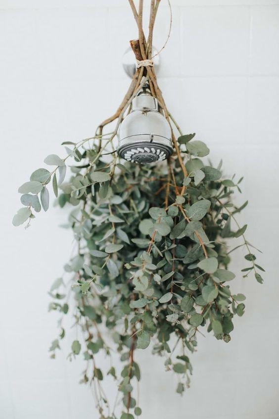 Aromatherapy Shower Photo credit: Pinterest
