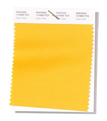 50 Shades of Yellow