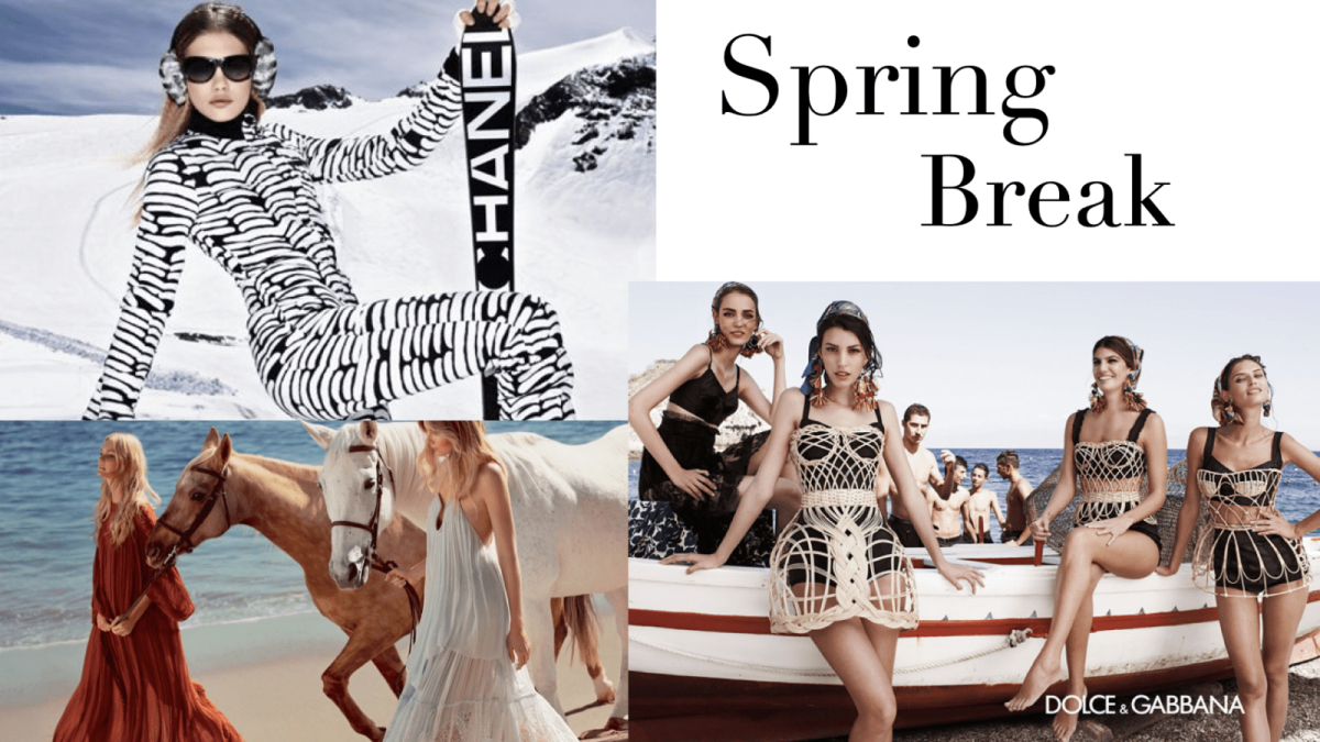 Photo credit: Dolce & Gabbana, Chanel, Chloe & Carolyn Hammond
