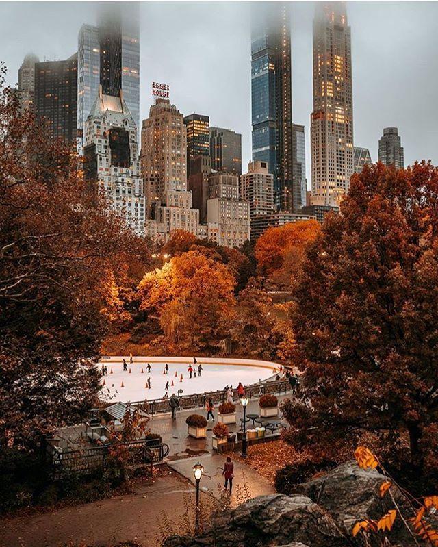 Photo credit: Pinterest