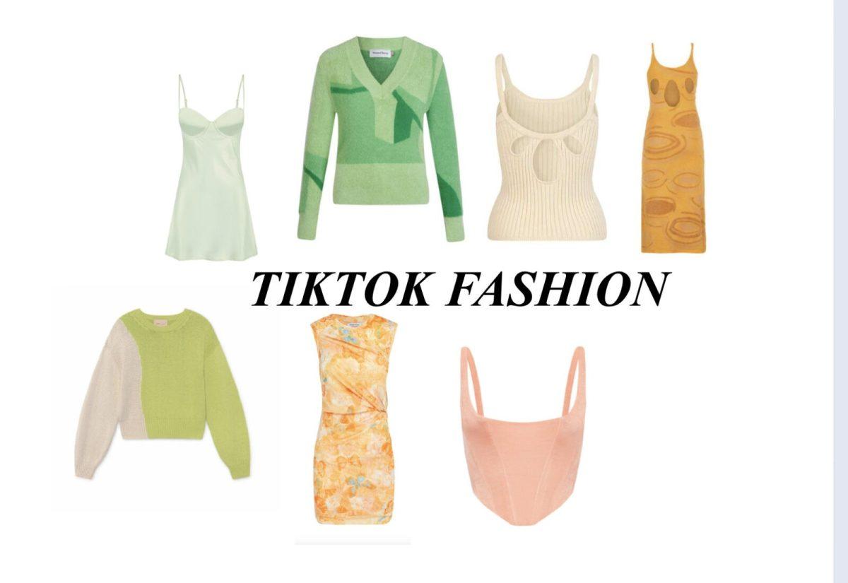 Clothing Brands I Learned From Tik Tok