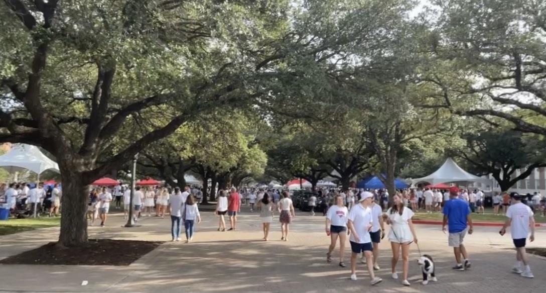 SMU Staff Picks: Boulevard Essentials