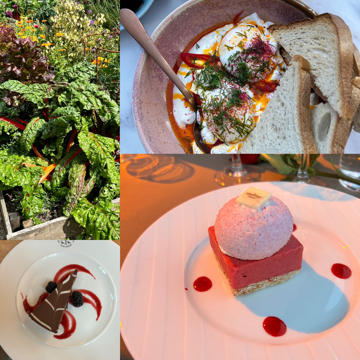 From Europe with Love: How Mindful Eating Can Transform Your Health Back Home